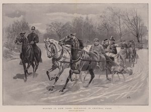 Inverno em Nova York, Sleighing no Central Park